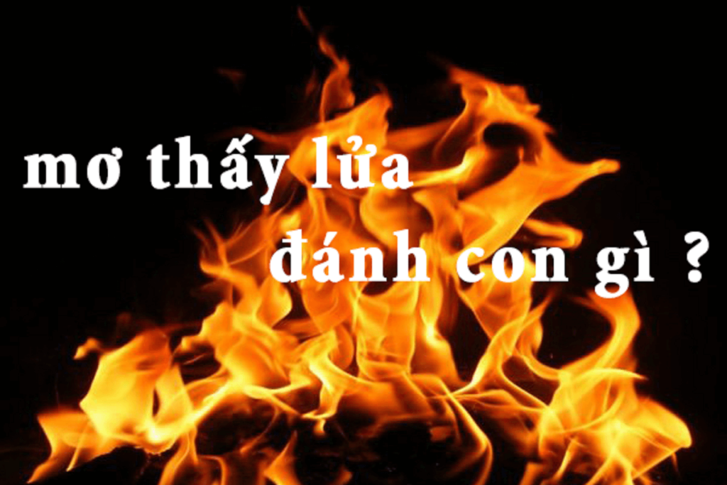 Thấy lửa từ quẹt thì đánh con gì?