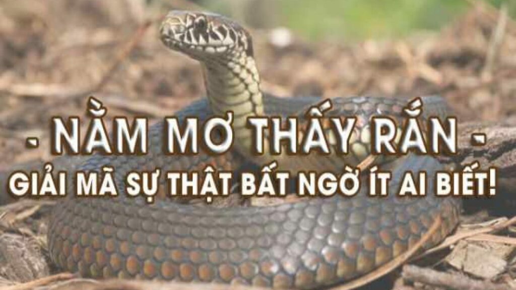 Mơ thấy rắn cắn vào ngón tay