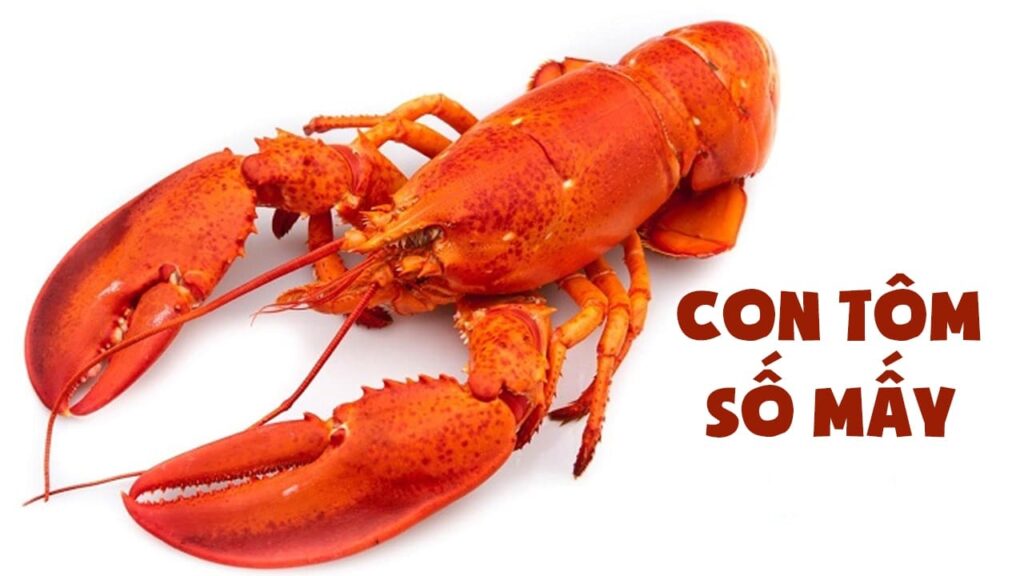 Nằm mơ thấy tôm hùm nhảy đánh số mấy?