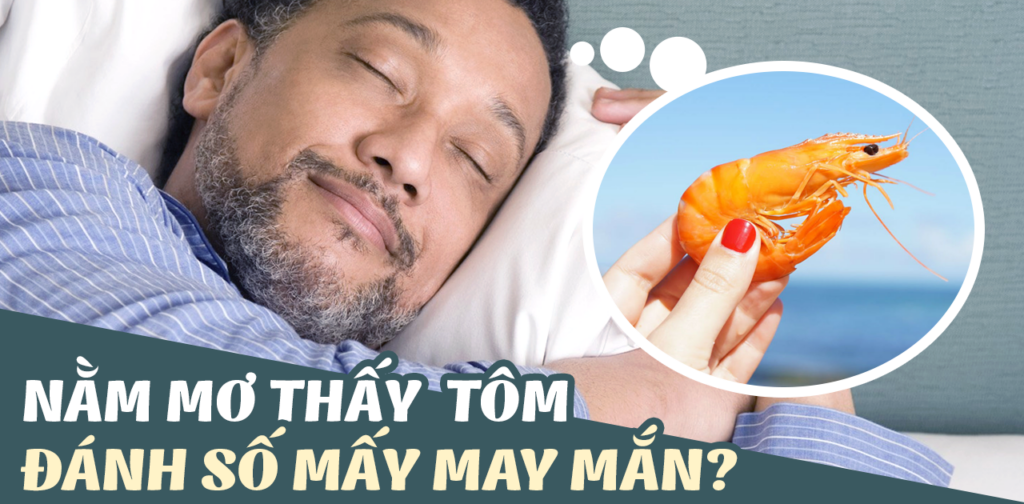 Nằm mơ thấy tôm đánh con gì? Ý nghĩa mua tôm, bắt tôm