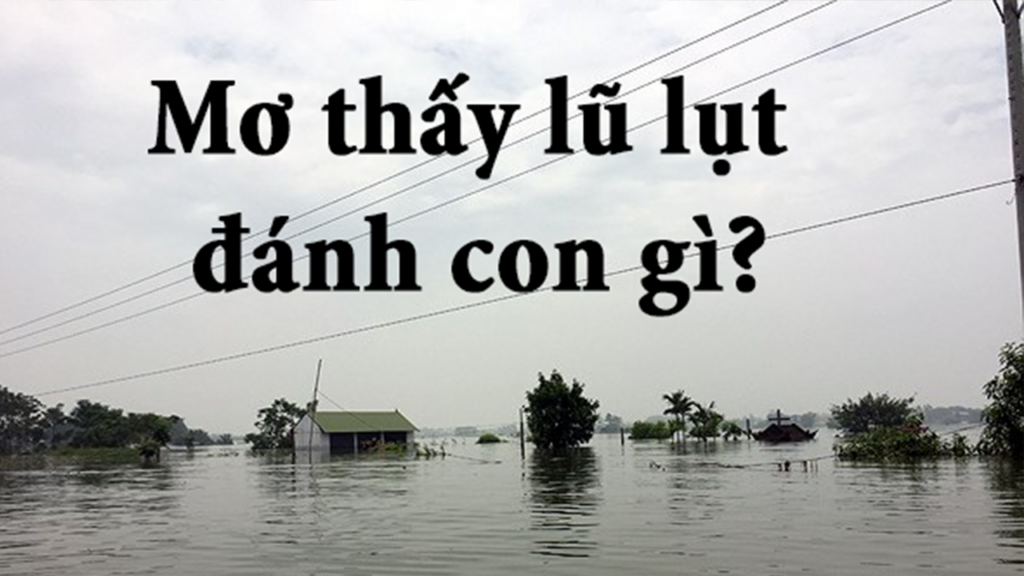 Nằm chiêm bao thấy lũ lụt đánh số gì?