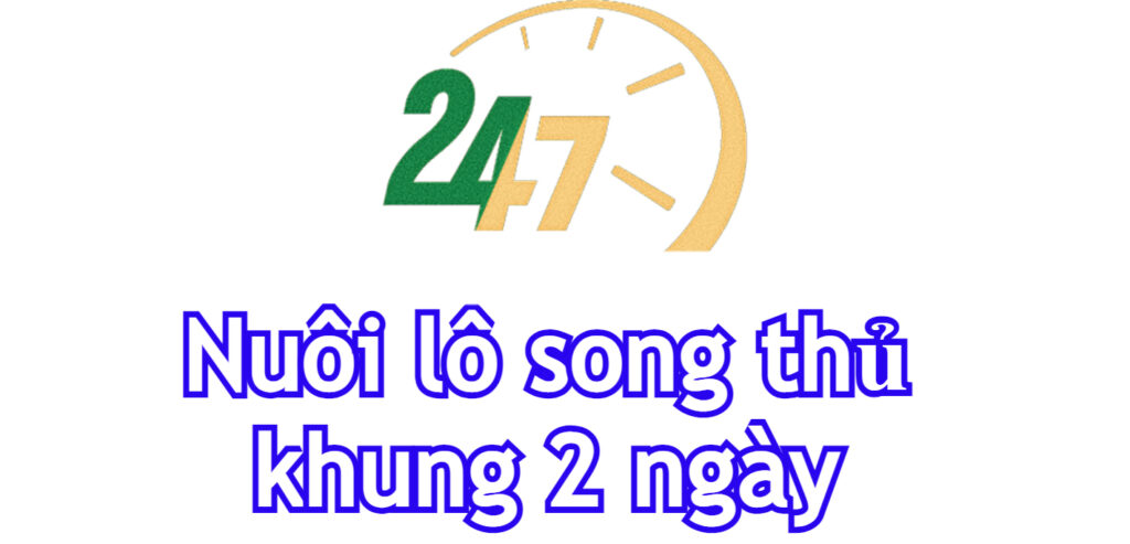 Song thủ lô nuôi khung 2 ngày 247