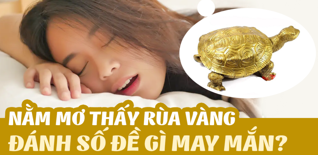 Nằm mơ thấy rùa vàng là điềm báo gì?