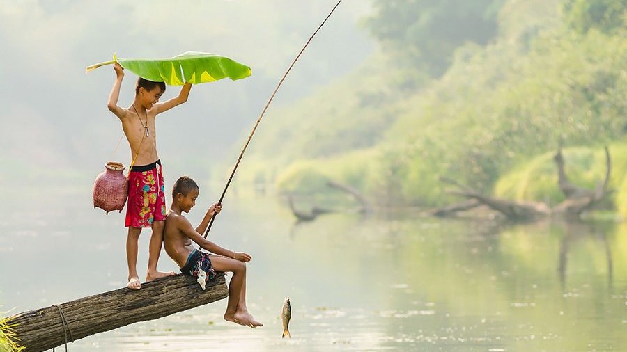 Mơ thấy câu cá đánh con gì