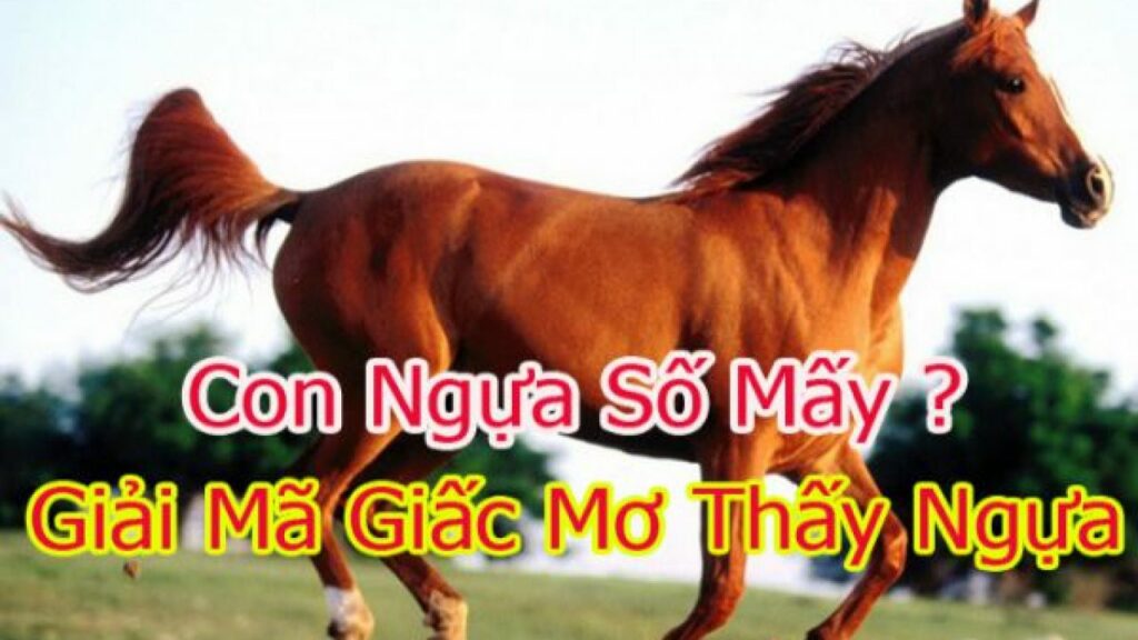 Cách đánh lô đề theo tuổi ngựa chính xác - Tuổi ngựa đánh con gì?