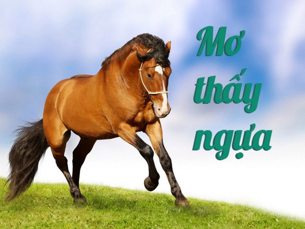 Cách tính điểm lô theo tuổi ngựa - Tuổi ngựa đánh con gì?